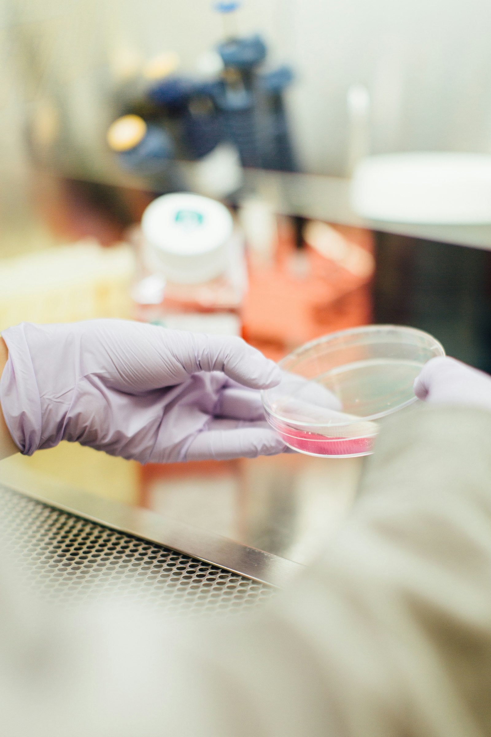 Dysbiosis: The Skin Microbiome and Aging - A Dermatologist's Guide